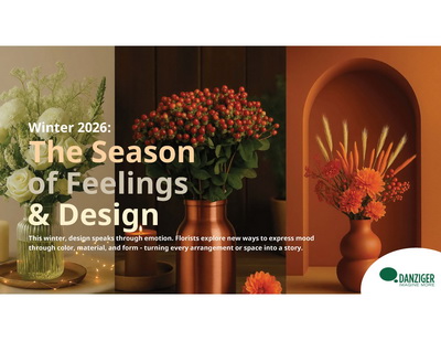 Plan Your Marketing Sahara Sensation