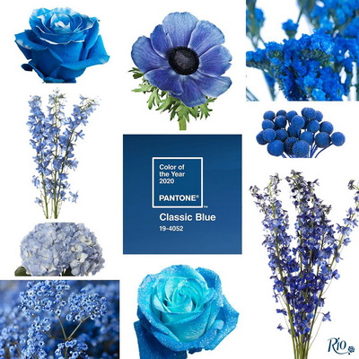 Flower Trends Forecast - Trends Blog: Classic Blue Pantone Color of the ...